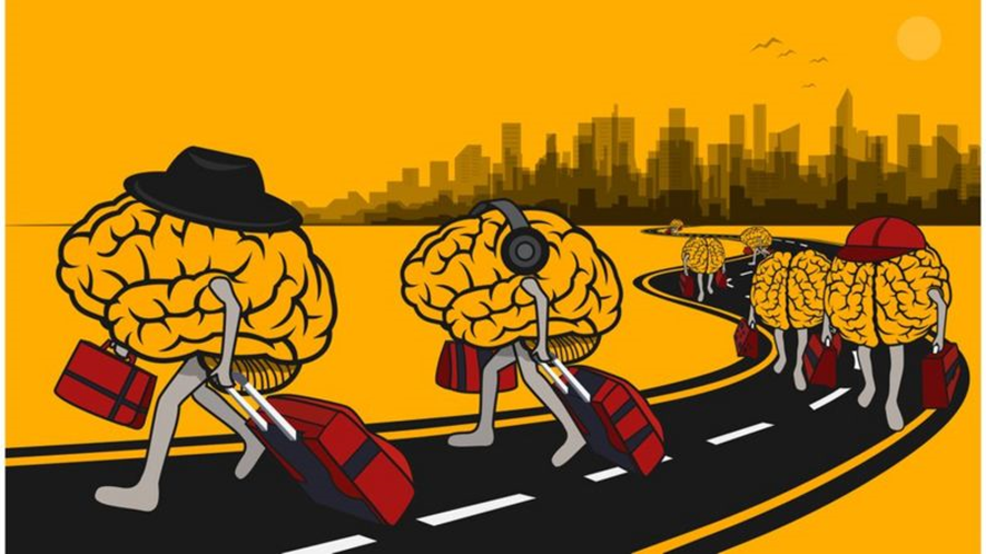 As consequências a longo prazo da persistência da fuga de cérebros no Brasil
