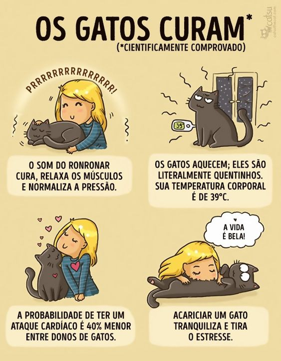 Razões para incentivar a adoção de animais de estimação