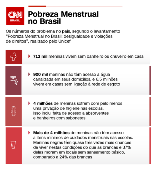 Pobreza menstrual: um panorama sobre o cenário indigno no Brasil